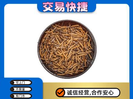 上海市松江回收散虫草