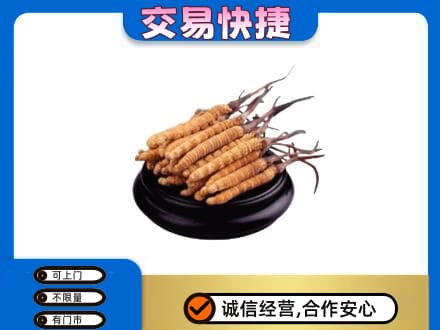 上海市松江礼品回收散虫草.jpg
